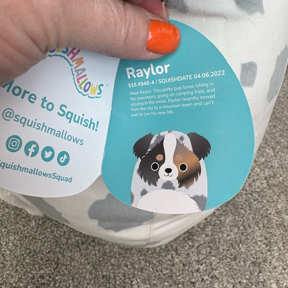 Squishmallows Raylor the Australian Shepherd large NWT - Picture 6 of 8